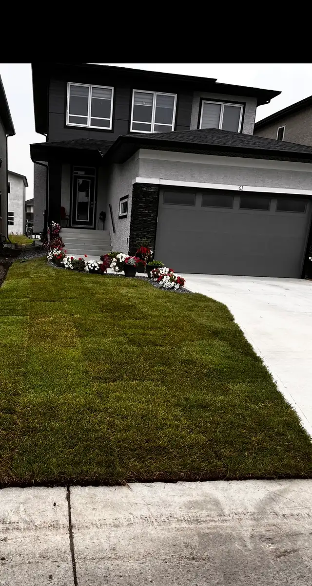 House for rent