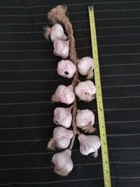 Ceramic Garlic on a Rope 2 1/2 Inch By 2 Inch For Kitchen Decor