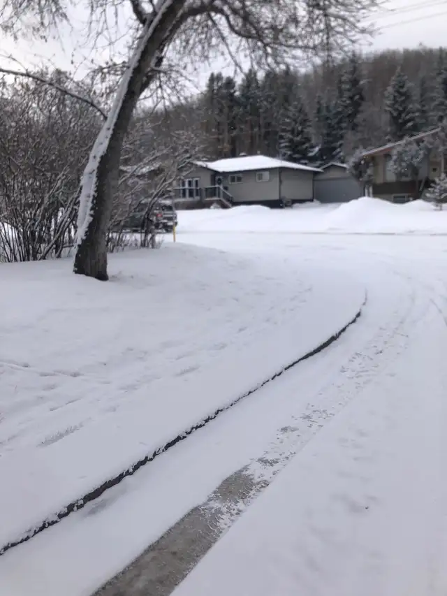 PROFESSIONAL FALL CLEANUP & SNOW REMOVAL 600046539920517128