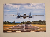 Postcard B25 Maid in the Shade