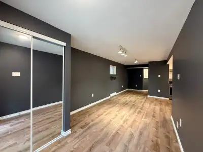 2 Bed 1 Bath Walkout Basement Kitchener