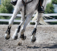 The Best Crumb Rubber Horse Arena Footing!