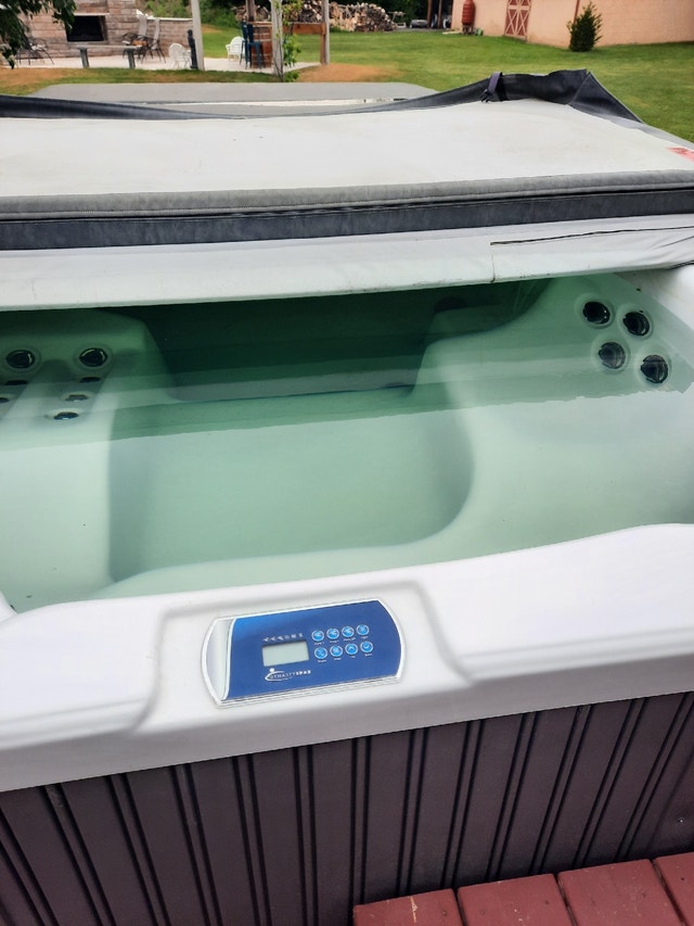 Dynasty swim spa Hot Tubs & Pools Kingston Kijiji