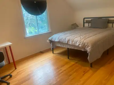 Short term roommates wanted rooms rent in UA/Whyte Ave near LRT