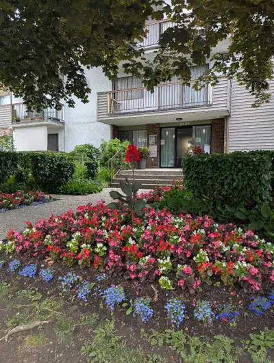 One bedroom ground floor apartment in professionally managed apartment block. Occupancy not to excee...