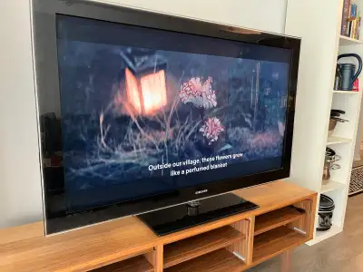 27”x48” Samsung TV, View more