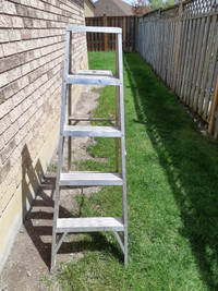 Ladder 5' Aluminum