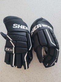 Hockey Gloves 15" Senior/Chest Protector 