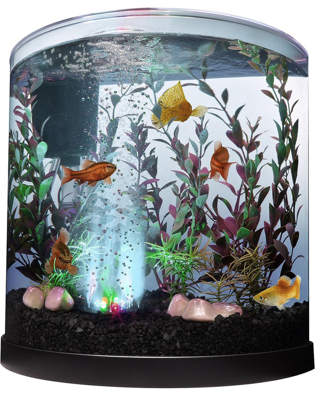 3 Gallon Fish Tank  in Other in City of Toronto - Image 2