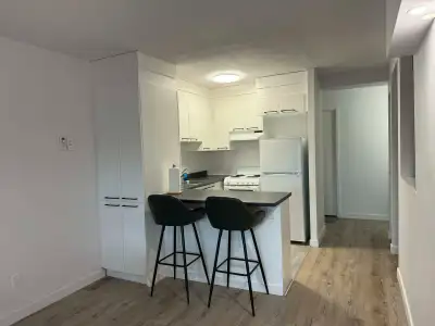 STUDIO à louer – (GATINEAU) SOUS LOCATION ou CESSION DE BAIL Disponible Pour JUIN JUILLET AOUT (1er...
