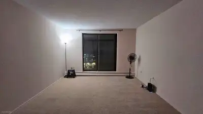 LOOKING FOR ROOMMATES