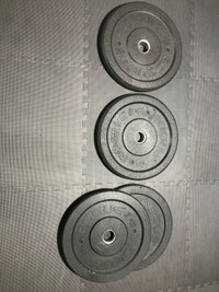 Rogue US-Mil Spec Bumper Plate V2