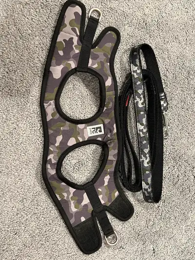 Camo dog harness and leash, View more