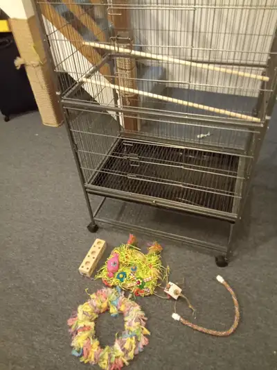 Large bird cage with toys, View more