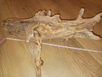 Reptile driftwood