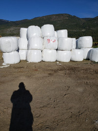 Silage Bales for sale