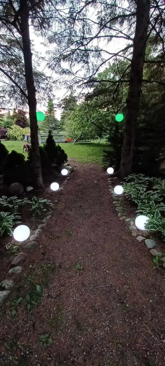 glow ball rental-$15/pc63006658901377124