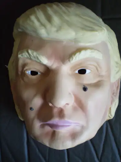T RUMP and T he P IG GY, View more
