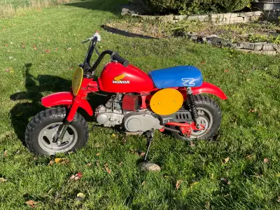 Runs decent, just needs a little tune up, clutch adjustment. an adult can shift gears, but a smaller...