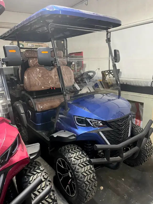 Custom Road-Legal Golf Carts – Loaded & Ready to Go!65561386517123123