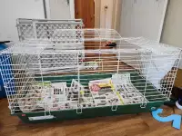 Rabbit and cage