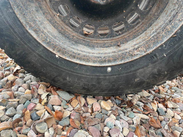 4 215/60 R16 99TXL Nordman 7 winter tires WITH rims. $400 in Tires & Rims in Lethbridge - Image 2