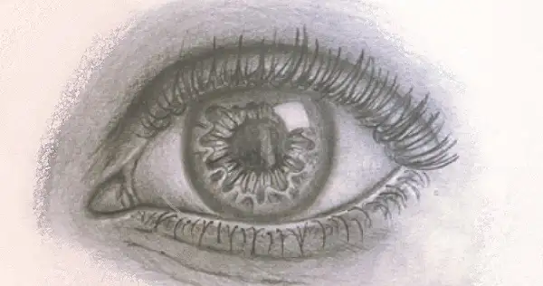 Realistic Drawing Course - 16 pre-recorded lessons!469135067480084484