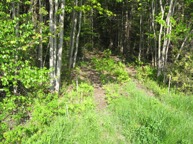 terre a bois dans Autre  à Sherbrooke