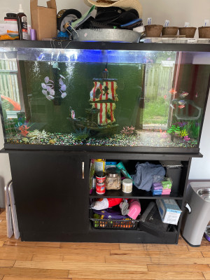 30 Gallon Aquarium Stand | Kijiji in Ontario. - Buy, Sell & Save with  Canada's #1 Local Classifieds.