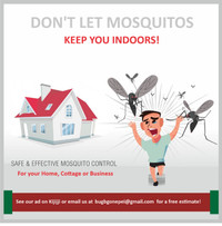 Mosquito proof your yard!