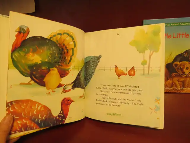 Great Lot of Primary children's Books in Children & Young Adult in Oshawa / Durham Region - Image 5