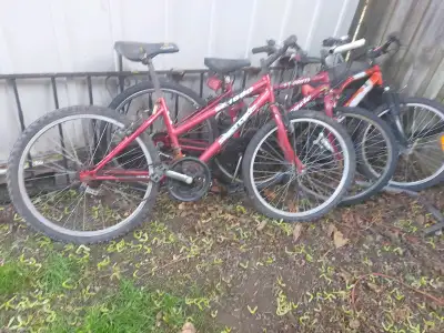 Bicycles for sale kijiji hotsell