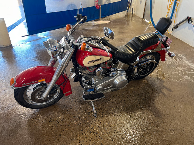 1986 Harley Softail. First Year Softail. 2500 Built in Other in Calgary - Image 2