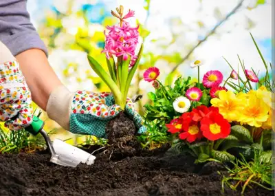 Landscaping amd garden help call 647 858 3862, View more