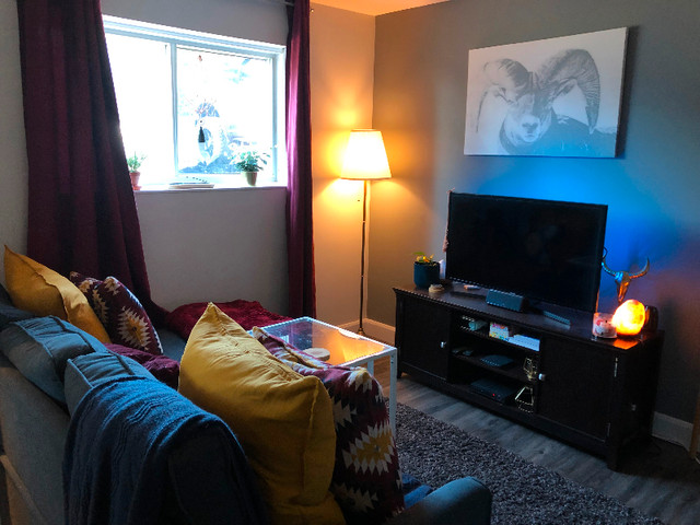 Appartement 1 cc tout inclus!!! in Long Term Rentals in Gatineau - Image 3
