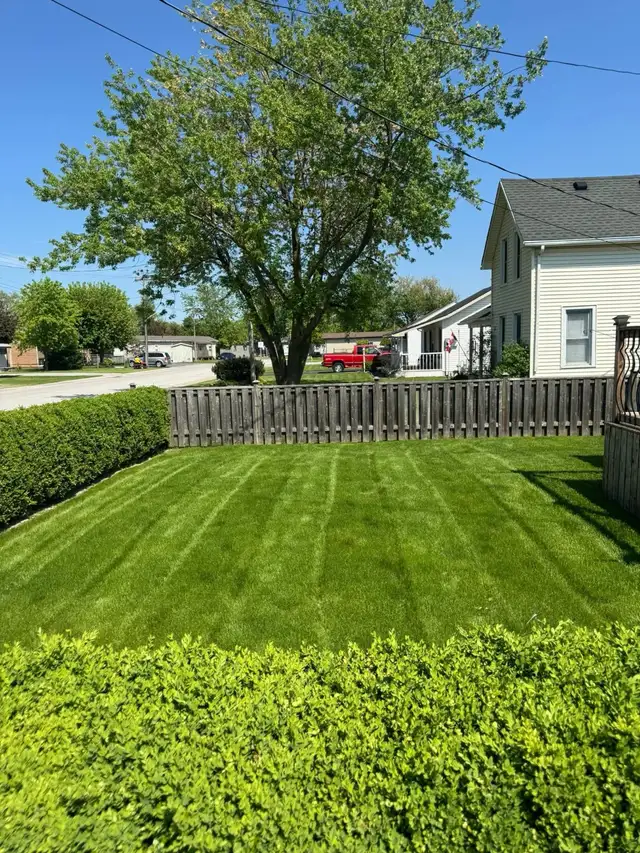 Grass Cutting441533317514547205