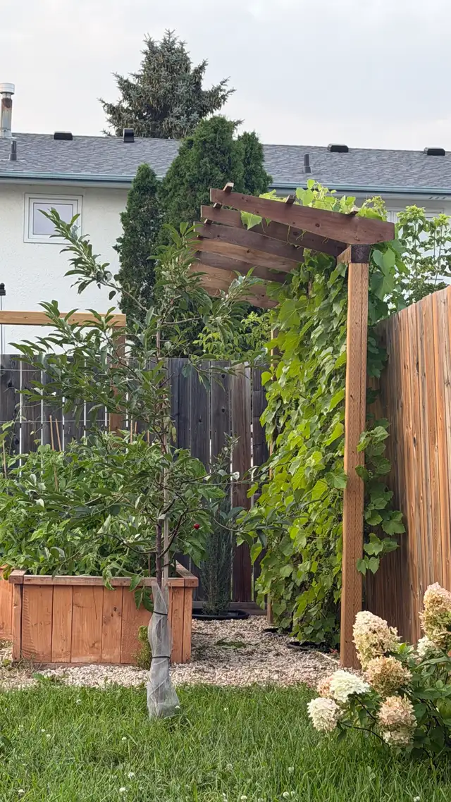 Carpentry & Handyman Services – Winnipeg