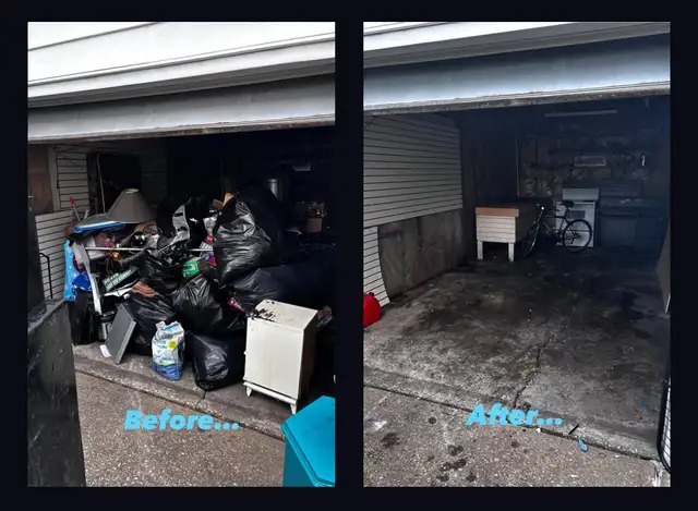 JUNK REMOVAL62863236154114121