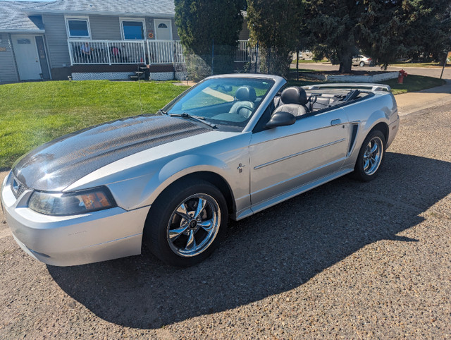 2003 Mustang Convertible in Cars & Trucks in Medicine Hat