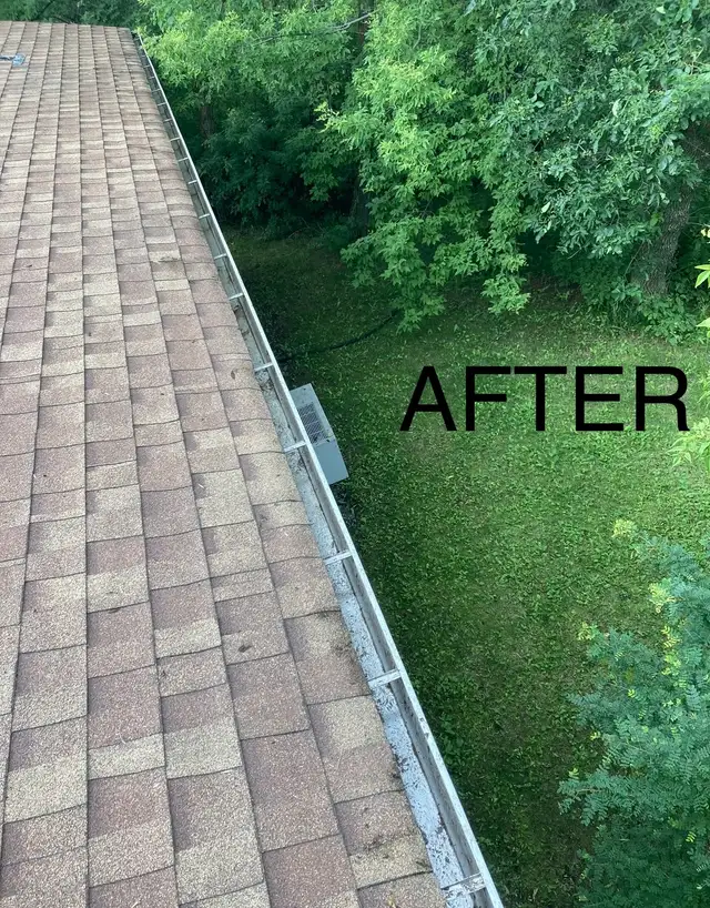 Gutter & Eavestrough cleaning service.523046275441633283