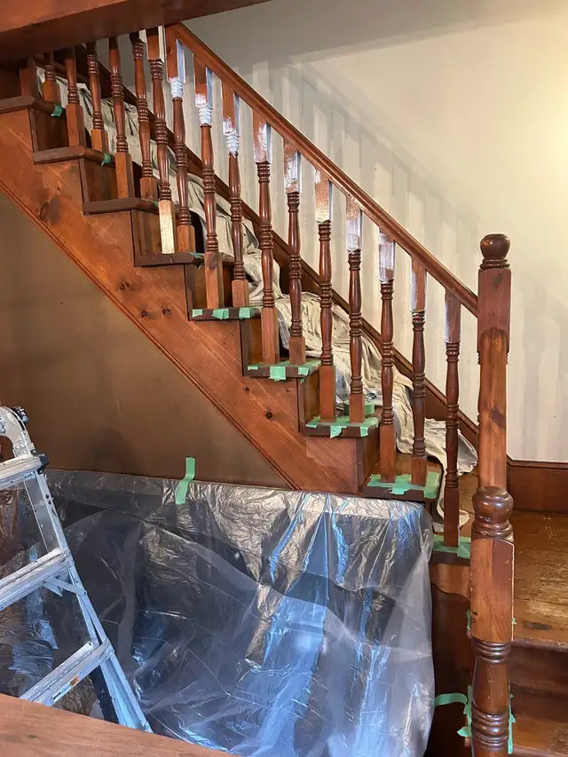 Professional painter65669420946818124