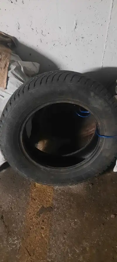 X4 winter tires in excellent condition + I am adding 4 rims too. Tires used only last winter. Size i...
