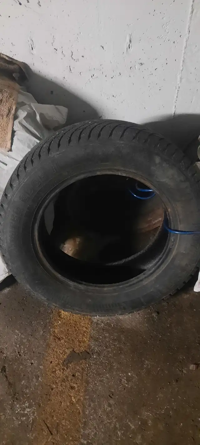 Winter tires + 4 rims in Tires & Rims in Ottawa - Image 2