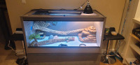 120 gallon Terrarium for Reptile 