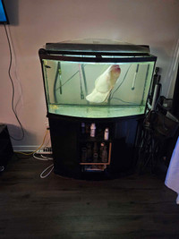90 gallon fish aquarium, stand and filter