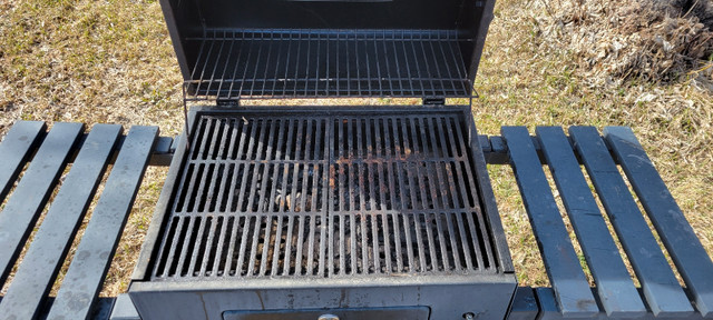 Tera Gear Charcoal Grill in BBQs & Outdoor Cooking in Winnipeg - Image 3