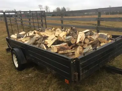 Firewood, Balsam, dried & split ready to burn., View more