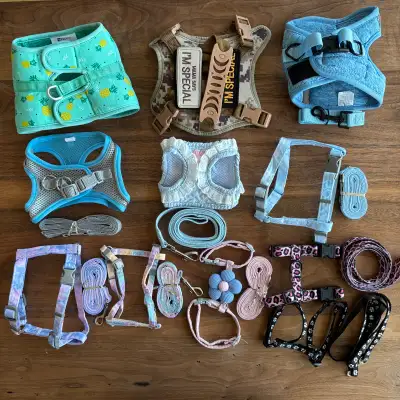 BRAND NEW Cat Dog Pet Harness and Leashes, View more