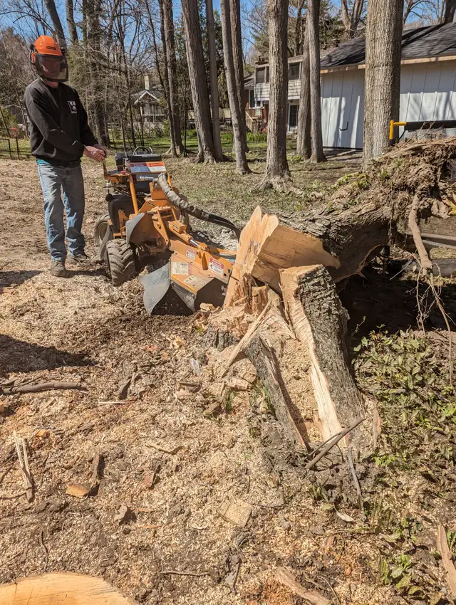 R U Stumped PEI - Stump removal in Lawn, Tree Maintenance & Eavestrough in Summerside - Image 3