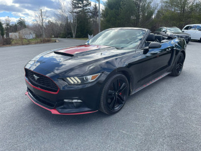 LOADED! 15 MUSTANG LEATHER LOADED - NEW MVI